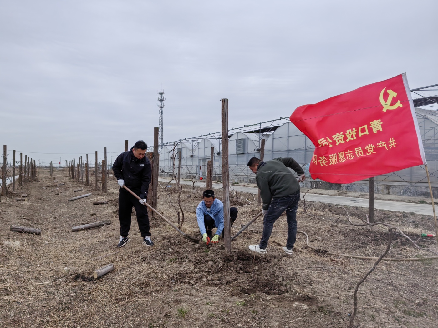 倉儲(chǔ)2_副本