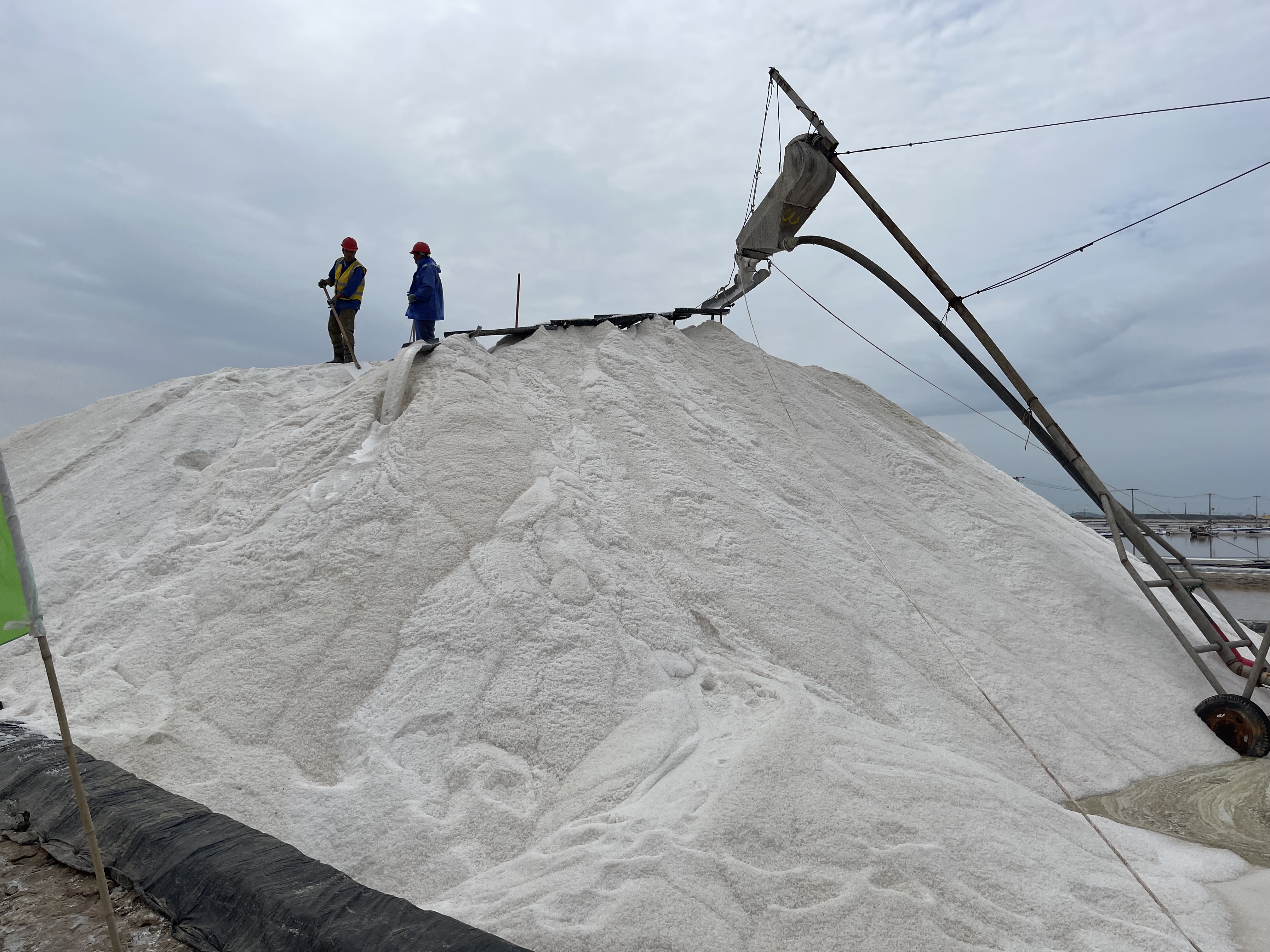 195D8FF44E57DCC58553AEC627E56EE9.png 195D8FF44E57DCC58553AEC627E56EE9.png